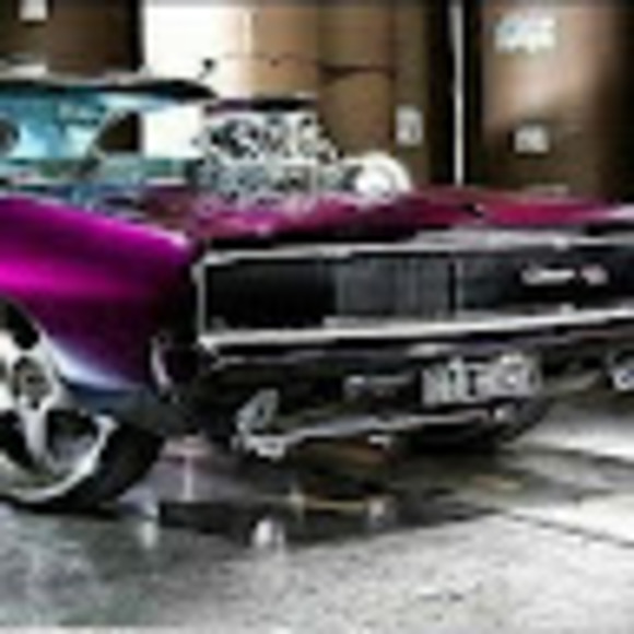 Meet your Posher, Tasha - Picture 1 of 1